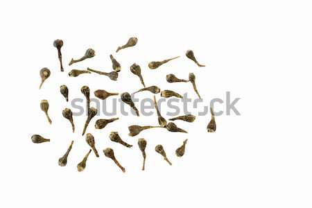 Kruidnagel witte voedsel achtergrond bruin organisch Stockfoto © vinodpillai