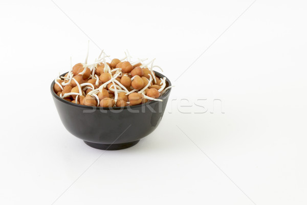 Black bowl of chickpea sprouts  Stock photo © vinodpillai