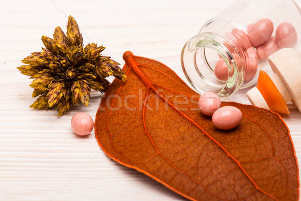 Alternatief roze pillen oranje blad alternatieve geneeskunde Stockfoto © viperfzk