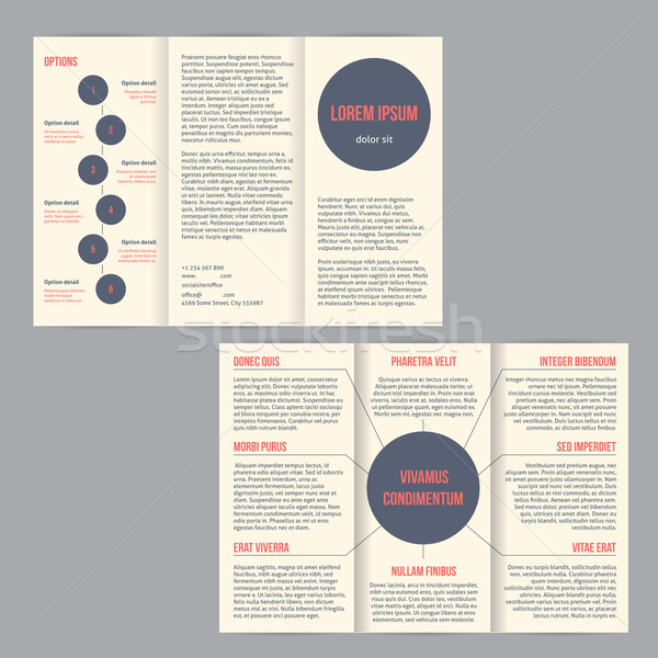 Flyer брошюра опции шаблон дизайна печать Сток-фото © vipervxw