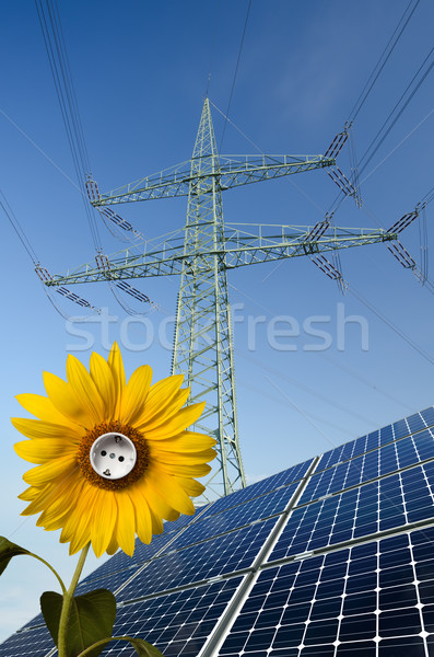 Solar panels, sunflower with socket and utility pole Stock photo © visdia