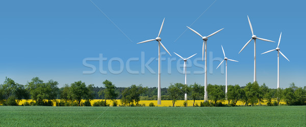 Wind turbines in a rapeseed field behind an alley Stock photo © visdia
