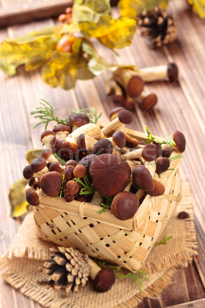 Mushrooms.   Stock photo © Vitalina_Rybakova