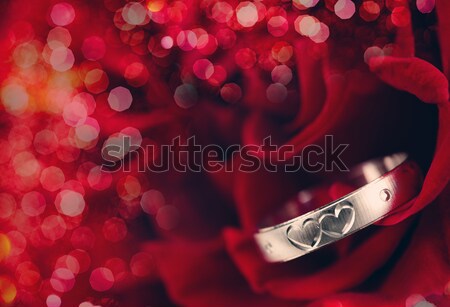 Ring and Rose. Stock photo © Vitalina_Rybakova