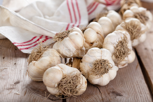 Garlic. Stock photo © Vitalina_Rybakova