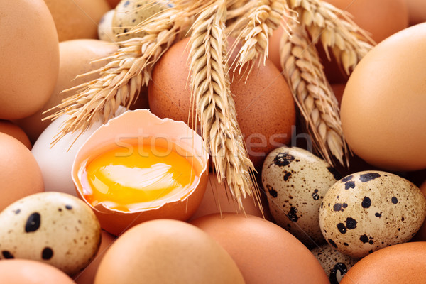 Friss tojások közelkép lövés tyúk keret Stock fotó © Vitalina_Rybakova