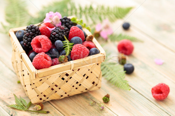 Fresh forest berries. Stock photo © Vitalina_Rybakova