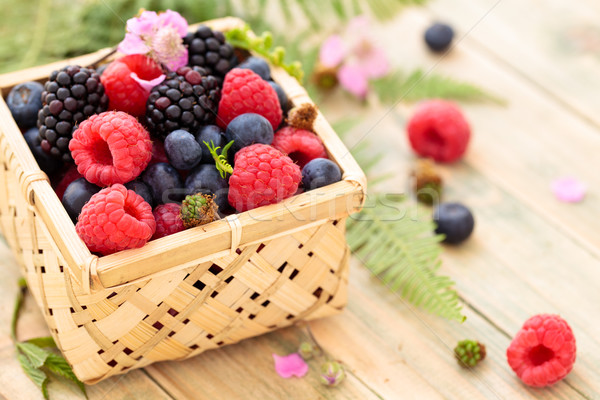 Fresh forest berries. Stock photo © Vitalina_Rybakova