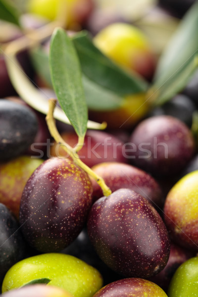 Frischen Oliven Hintergrund grünen schwarzen Oliven Blätter Stock foto © Vitalina_Rybakova