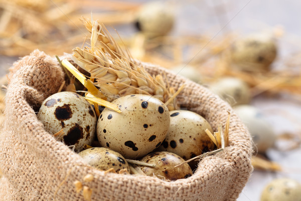 Stock photo: Fresh quail eggs.