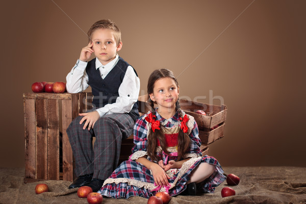 Twee kinderen appels meisje jongen dozen Stockfoto © Vitalina_Rybakova