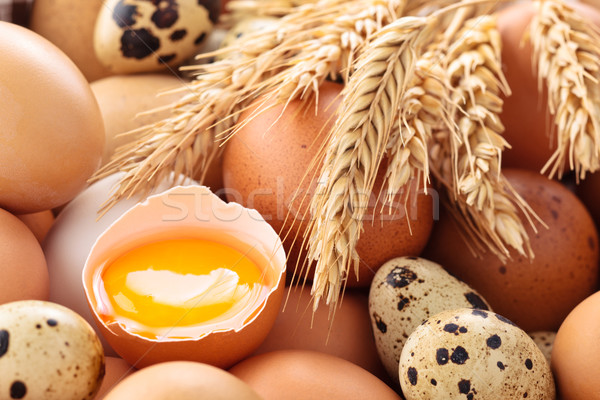 Fresh eggs background. Stock photo © Vitalina_Rybakova