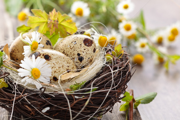 Virágok tojások fészek fából készült húsvét virág Stock fotó © Vitalina_Rybakova