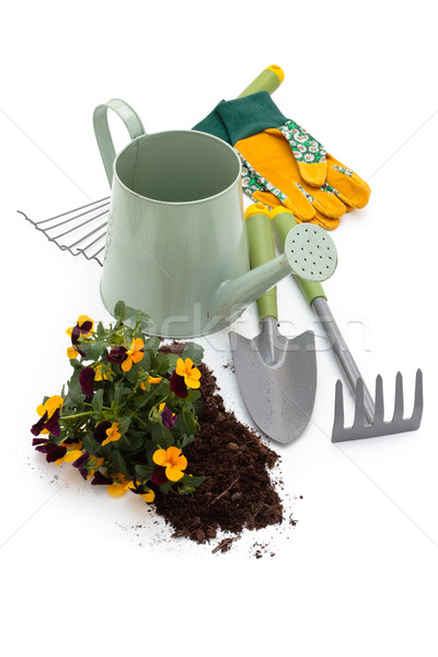 Tools tuinieren gieter bloemen handschoenen uitrusting Stockfoto © Vitalina_Rybakova