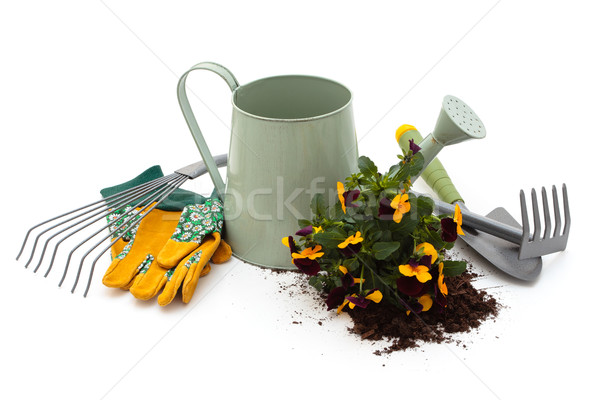 Tools for gardening.  Stock photo © Vitalina_Rybakova