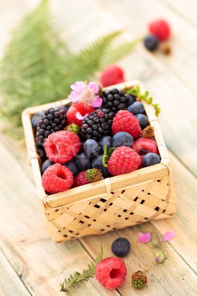 Fresh forest berries. Stock photo © Vitalina_Rybakova