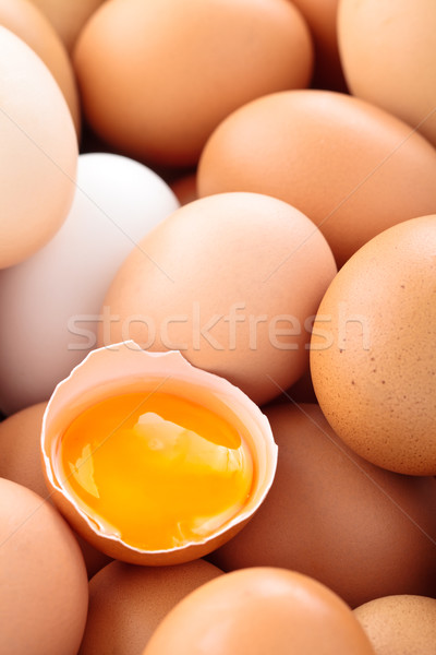 Stock foto: Frischen · Eier · erschossen · Huhn · Essen