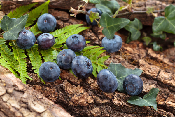 ストックフォト: 森林 · 液果類 · ブルーベリー · 植物 · 環境 · 食品