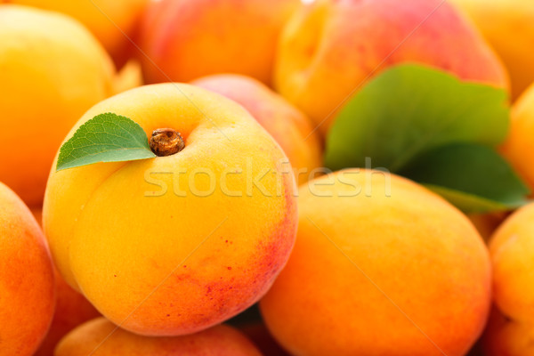 Vers achtergrond rijp textuur natuur zomer Stockfoto © Vitalina_Rybakova