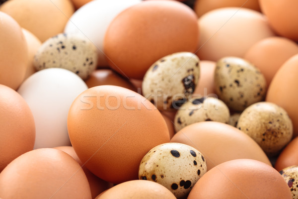 Fresh eggs background. Stock photo © Vitalina_Rybakova