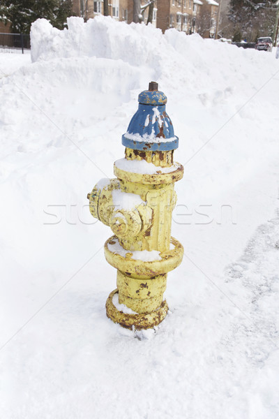 Fire hydrant snow Stock photo © Vividrange