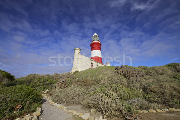 Lighthouse, Cape Agulhas  Stock photo © Vividrange