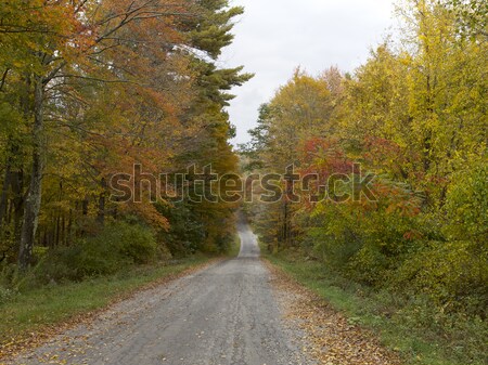  Autumn, New England Stock photo © Vividrange