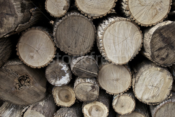 ストックフォト: 火災 · 木材 · 自然 · 背景 · 冬