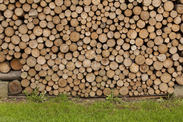 Drewna przechowywania zewnątrz Zdjęcia stock © vizualni