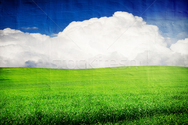 グランジ 画像 風景 ヴィンテージ 具体的な テクスチャ ストックフォト © vkraskouski