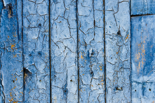 Vintage blu legno muro texture albero Foto d'archivio © vkraskouski