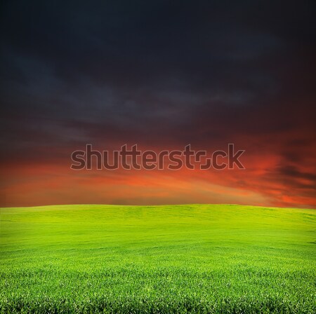 Foto stock: Puesta · de · sol · verano · campo · rojo · oscuro