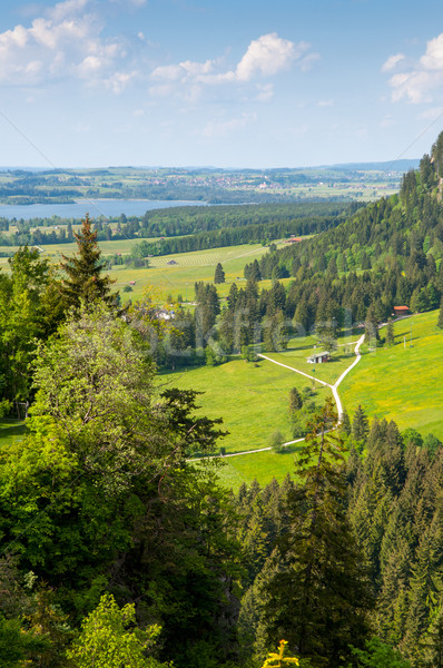 Majestueux montagne paysage forêt lac vert Photo stock © vlaru