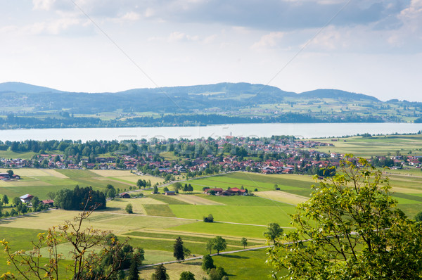 green Valley Stock photo © vlaru