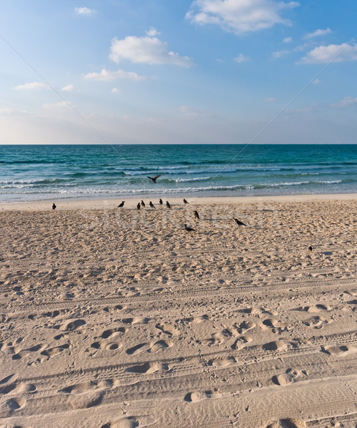 sandy beach with lots of footprints and a blue sky with clouds and birds on sand Stock photo © vlaru