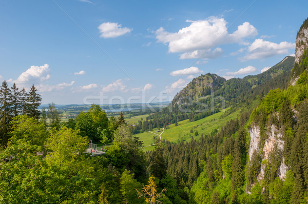 Majestueux montagne paysage forêt lac vert Photo stock © vlaru