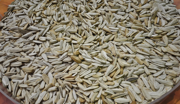 Pumpkin Seeds Stock photo © vlaru