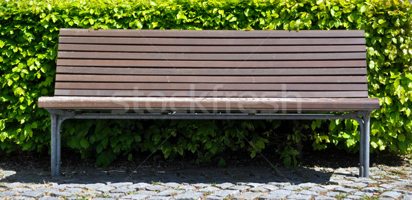 wooden bench in front of bush Stock photo © vlaru