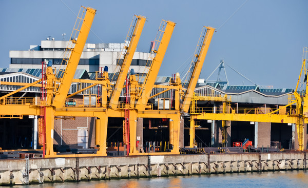 sea cargo port large cranes Stock photo © vlaru