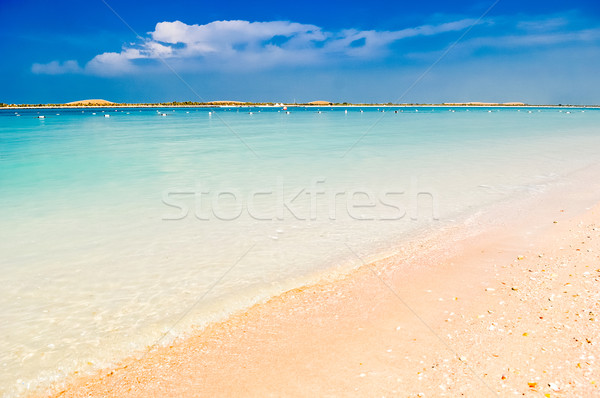 magical beach Stock photo © vlaru