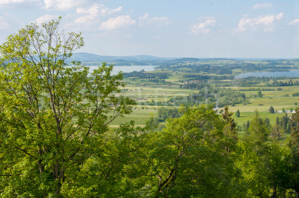 green Valley Stock photo © vlaru