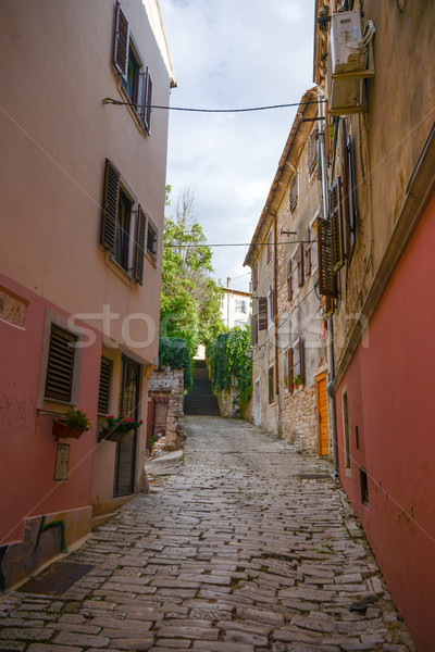 old town in Rovinj Croatia Stock photo © vlaru