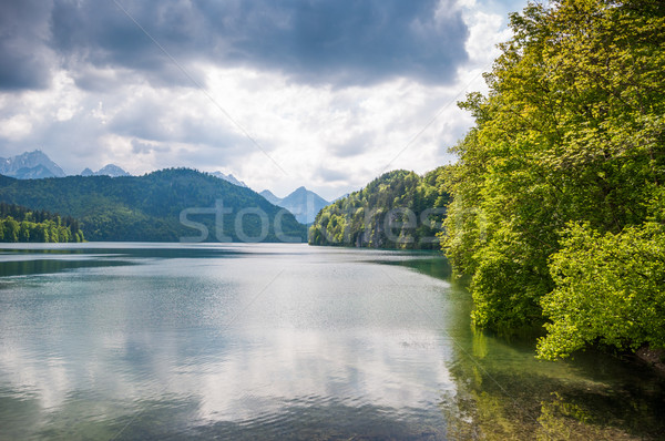 Montanha paisagem floresta lago água Foto stock © vlaru