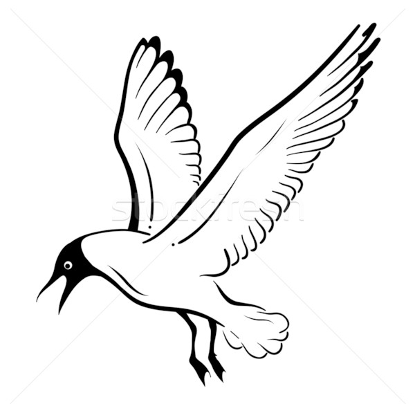 чайка · простой · изолированный · белый · дизайна · птица - Векторная  графика © vlastas (#1523311) | Stockfresh