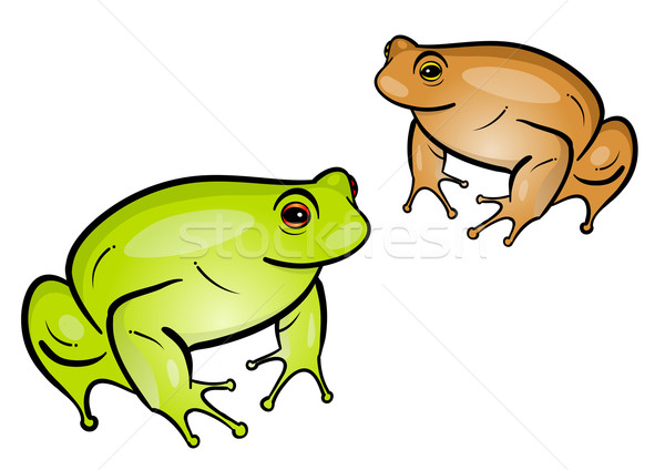 frogs Stock photo © vlastas