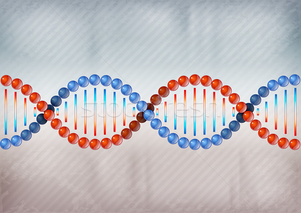 Dna dois cor cinza fundo medicina Foto stock © vlastas