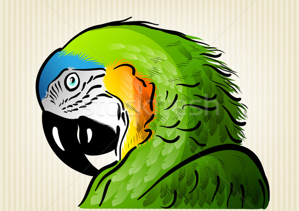 Foto stock: Verde · papagaio · olho · natureza · projeto · azul