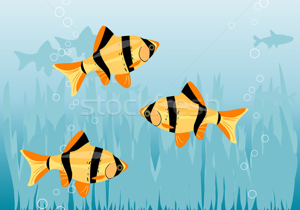 Fishes Stock photo © vlastas