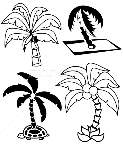 Foto stock: Palmeras · establecer · colección · palmera · siluetas · blanco