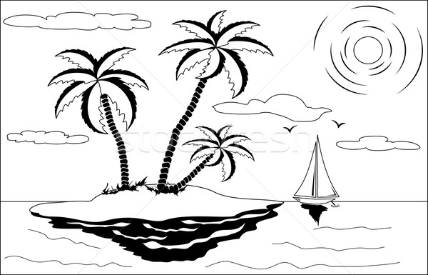 熱帯 風景 黒白 ヤシの木 太陽 カモメ ストックフォト © Volina